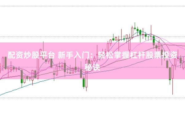 配资炒股平台 新手入门：轻松掌握杠杆股票投资秘诀