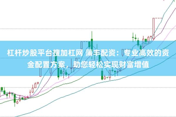 杠杆炒股平台搜加杠网 蒲丰配资：专业高效的资金配置方案，助您轻松实现财富增值