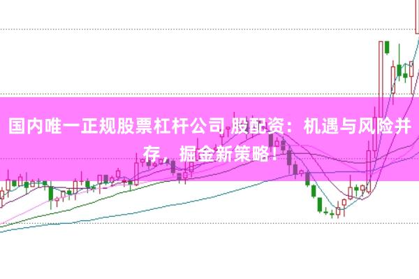 国内唯一正规股票杠杆公司 股配资：机遇与风险并存，掘金新策略！