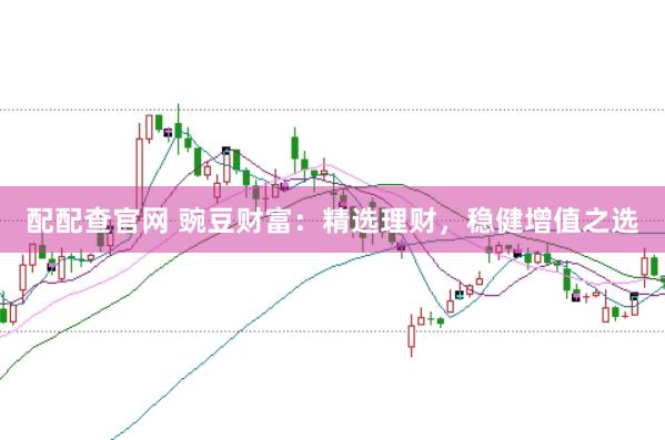 配配查官网 豌豆财富：精选理财，稳健增值之选