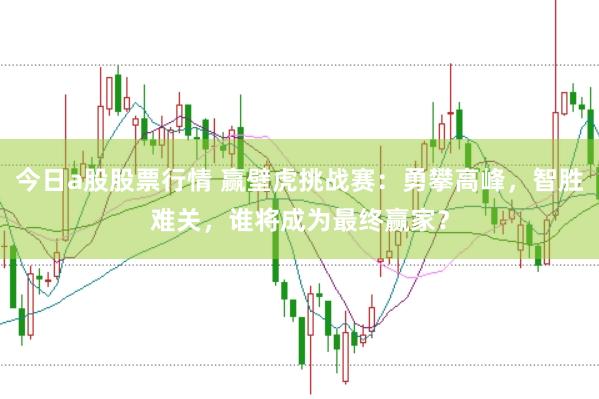 今日a股股票行情 赢壁虎挑战赛：勇攀高峰，智胜难关，谁将成为最终赢家？