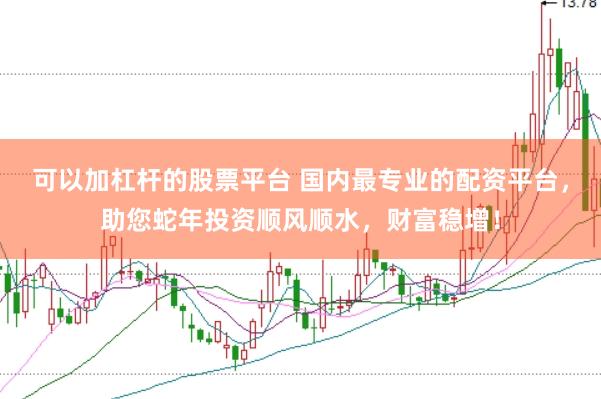 可以加杠杆的股票平台 国内最专业的配资平台，助您蛇年投资顺风顺水，财富稳增！