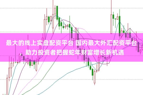 最大的线上实盘配资平台 国内最大外汇配资平台，助力投资者把握蛇年财富增长新机遇