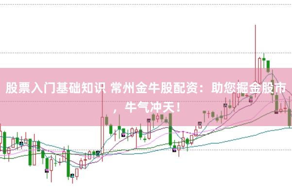 股票入门基础知识 常州金牛股配资：助您掘金股市，牛气冲天！