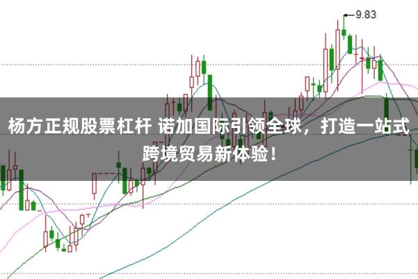 杨方正规股票杠杆 诺加国际引领全球，打造一站式跨境贸易新体验！