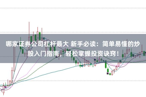 哪家证券公司杠杆最大 新手必读：简单易懂的炒股入门指南，轻松掌握投资诀窍！
