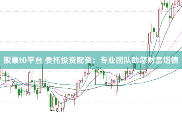 股票t0平台 委托投资配资：专业团队助您财富增值