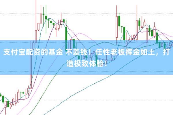 支付宝配资的基金 不差钱！任性老板挥金如土，打造极致体验！
