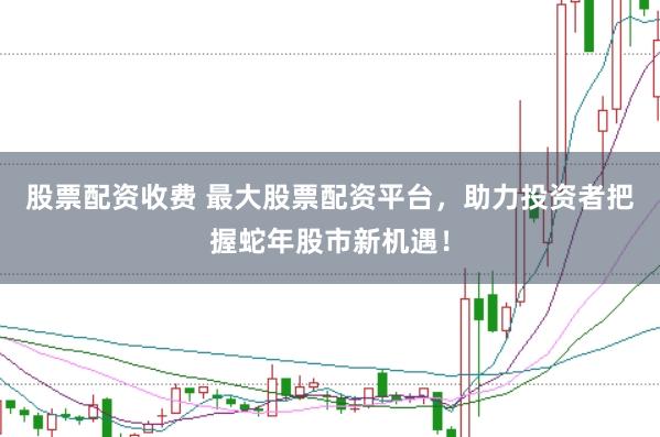 股票配资收费 最大股票配资平台，助力投资者把握蛇年股市新机遇！