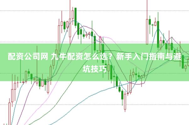 配资公司网 九牛配资怎么选？新手入门指南与避坑技巧