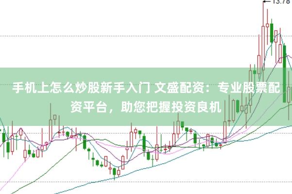 手机上怎么炒股新手入门 文盛配资：专业股票配资平台，助您把握投资良机