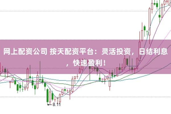 网上配资公司 按天配资平台：灵活投资，日结利息，快速盈利！