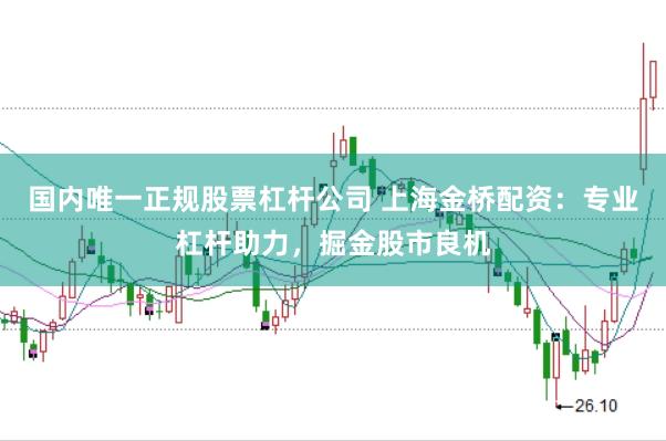 国内唯一正规股票杠杆公司 上海金桥配资：专业杠杆助力，掘金股市良机