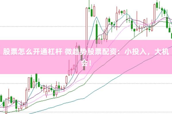 股票怎么开通杠杆 微趋势股票配资:小投入,大机会!