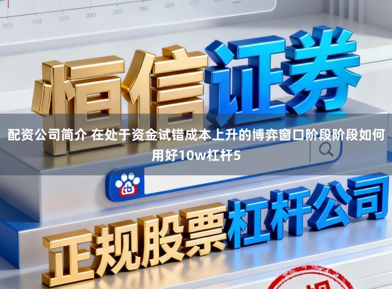 配资公司简介 在处于资金试错成本上升的博弈窗口阶段阶段如何用好10w杠杆5