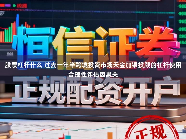 股票杠杆什么 过去一年半跨境投资市场天金加银投顾的杠杆使用合理性评估因果关