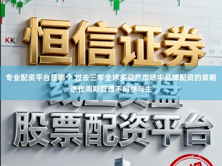 专业配资平台是哪个 过去三年全球多资产市场中品牌配资的策略迭代周期管理不同参与主