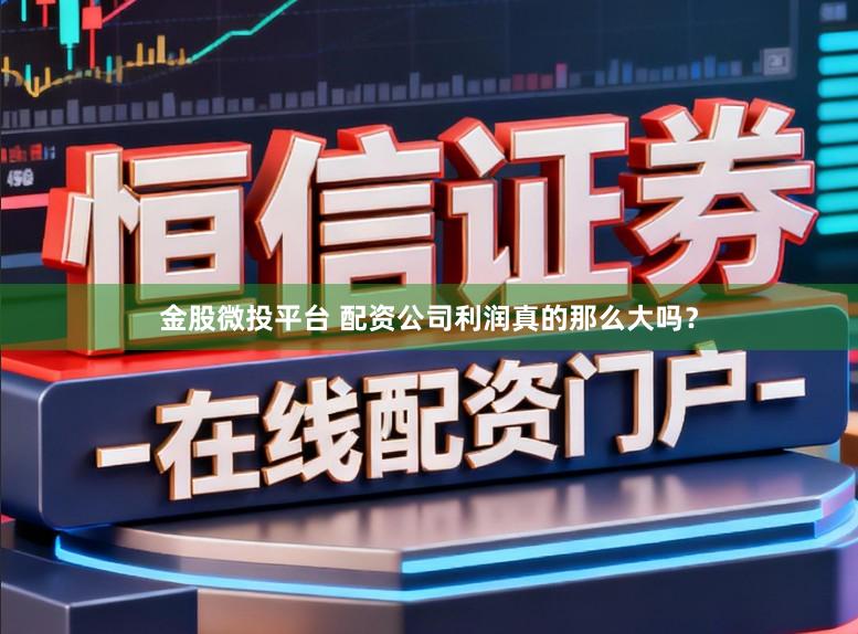 金股微投平台 配资公司利润真的那么大吗？