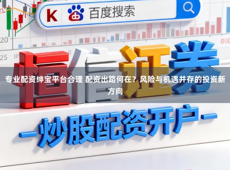 专业配资绅宝平台合理 配资出路何在？风险与机遇并存的投资新方向
